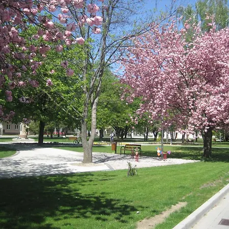 Romantik Affittacamere