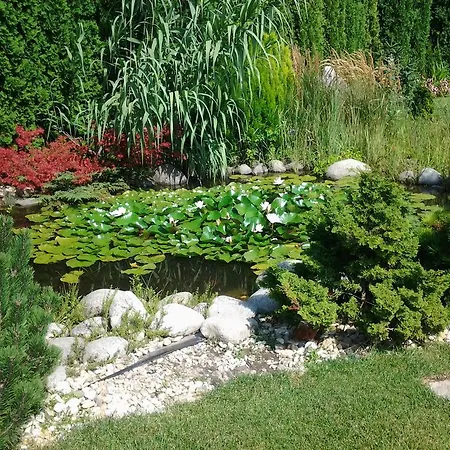 Romantik Affittacamere